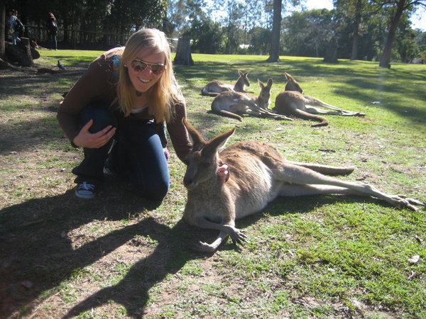 Chilling with the Kangaroos