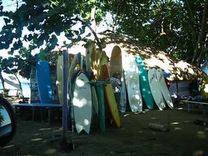 So many to choose from. As beginners, we used the long boards