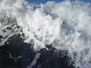 Beautiful white water of a wave building up