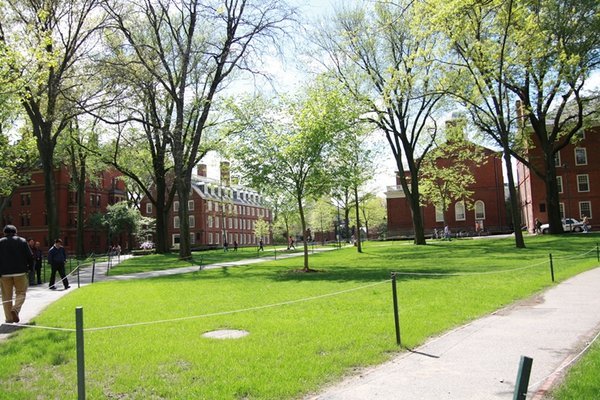 Harvard Campus 2
