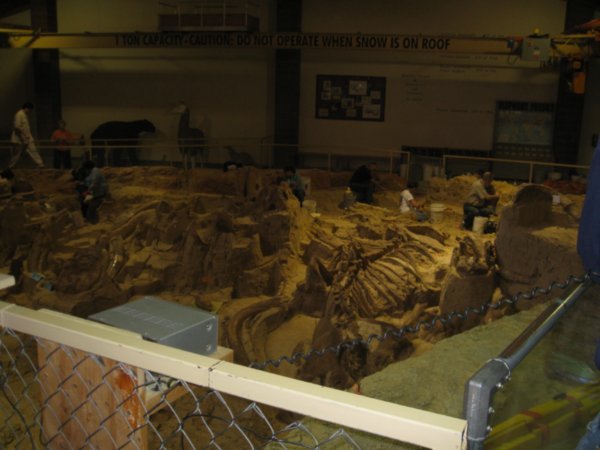Volunteers digging at Mammoth Site