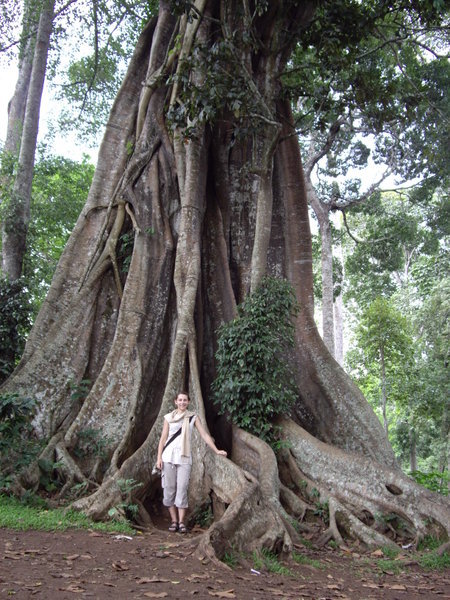 Me and big tree