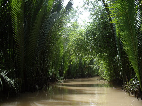 Calm rivers of Mekong delta