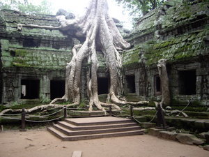 Another temple and tree