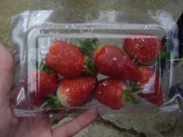 My box of strawberries