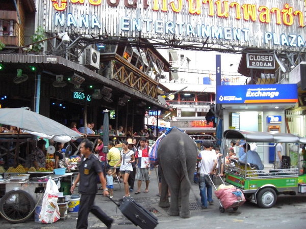 Elephant in Bangkok Streets