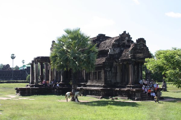 Cambodia (38)