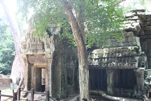 Cambodia (60)