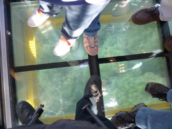 cable car with glass floor