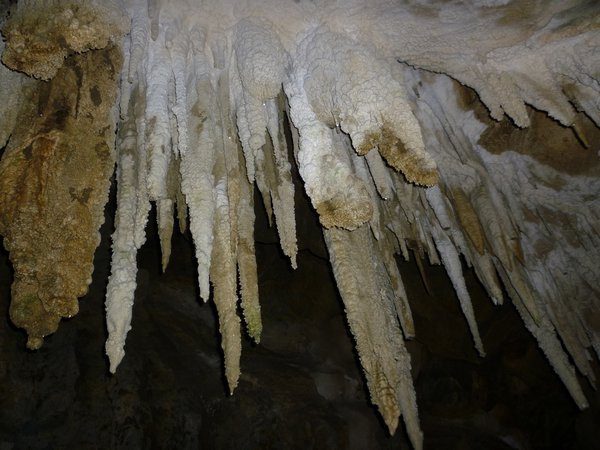 Stalagmites (or are they stalactites)
