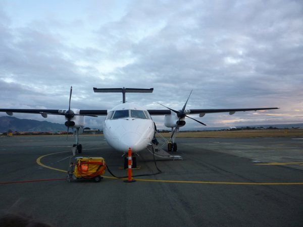 Our plane - in Nelson