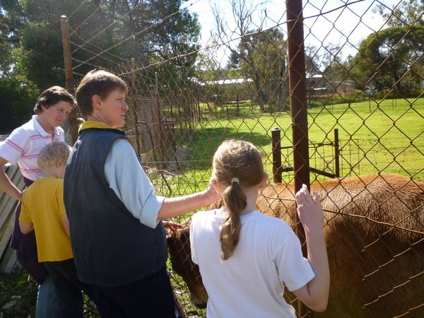 A young brahman