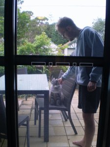 Making friends with a neighbour's cat