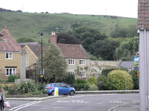 Hills and cows surrounding Castle Cary 