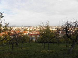 Famous Prague roofs