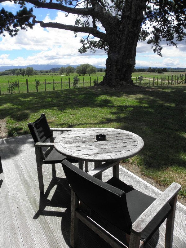 Stayed at the most gorgeous place in Martinborough