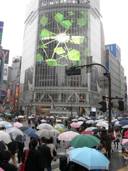A sea of Umbrellas - Tokyo