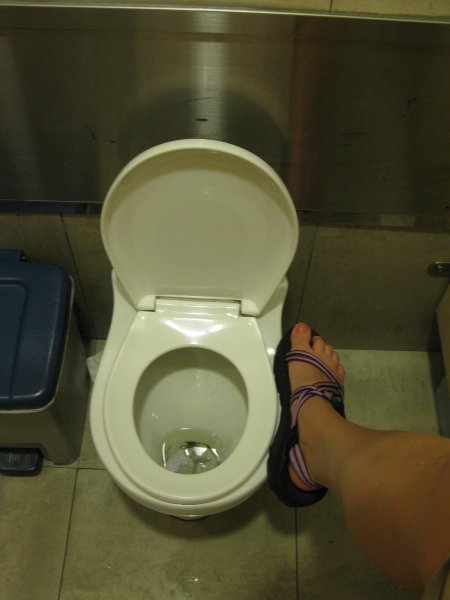 World's Tiniest Toilet?