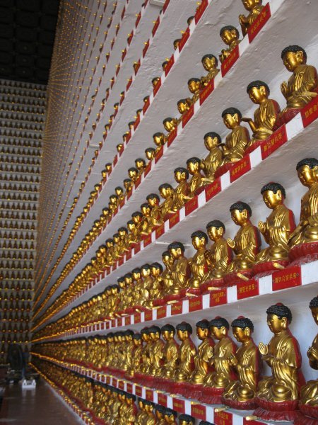 That's a Lot of Buddha