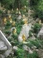 Buddhas on a Hill