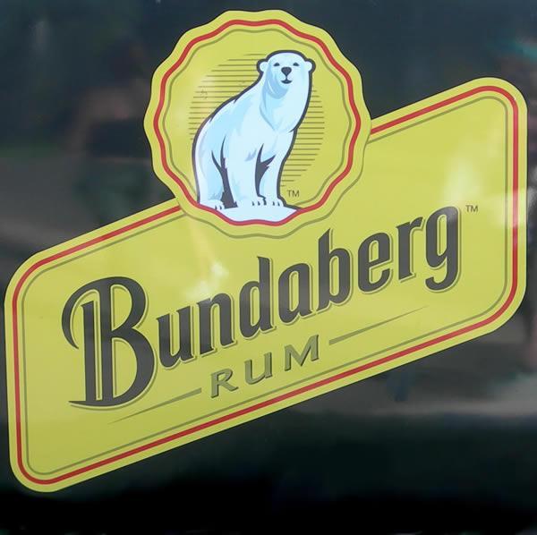 The Bundaberg Bear