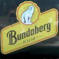 The Bundaberg Bear