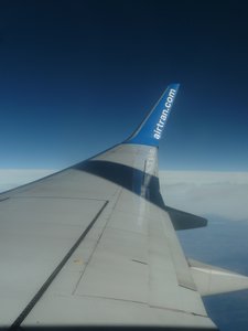 Obligatory Wing Pic 1