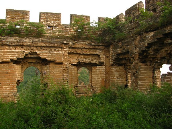 One of many untouched and overgrown forts
