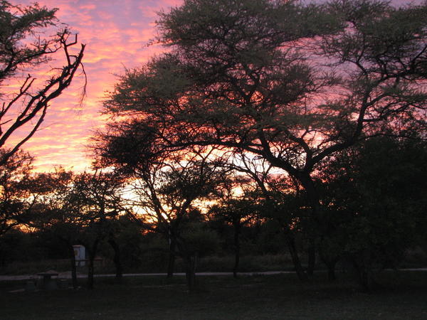 Early African sunrise #2