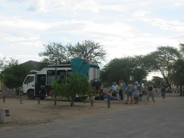 Medium size safari truck