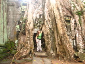 Inigmatic Ta Prohm, the jungle temple