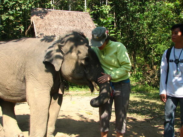 Playing with 3yo elephant