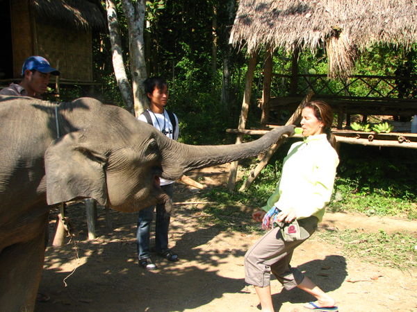 Being Elephant Brave