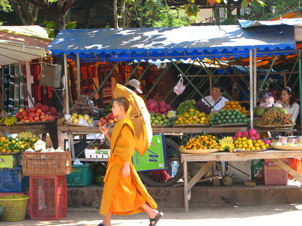 Novice "umbrella-monk " at  street market