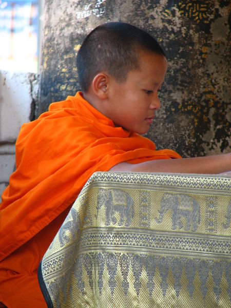 11 yo monk studying