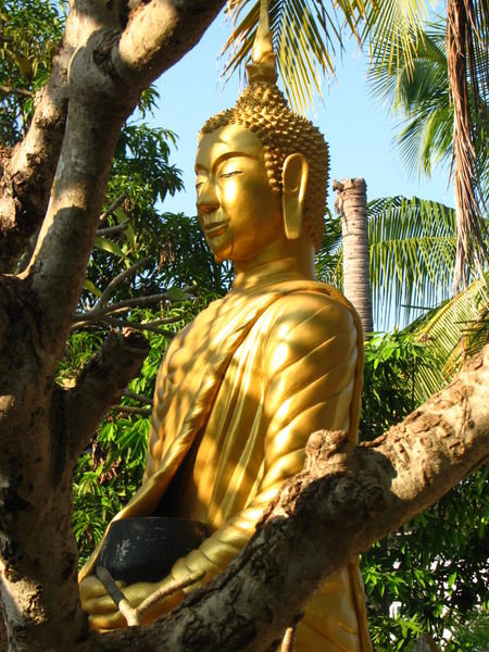 Buddha behind tree by atemple