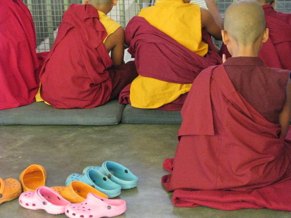 Monks and colorful croks