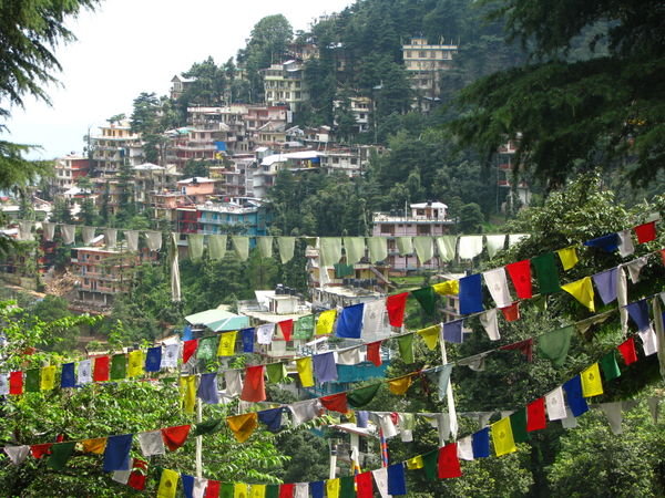McLeod and Prayer Flags