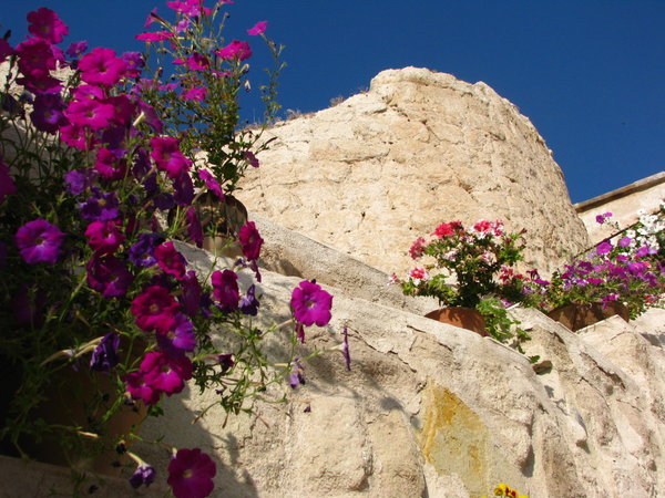 Flowers & stone