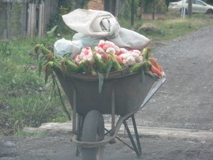 Vegetable cart or... 