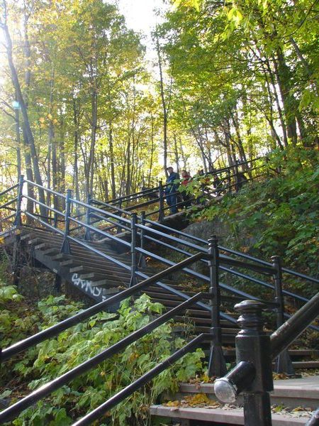 Going up the Mont-Royal