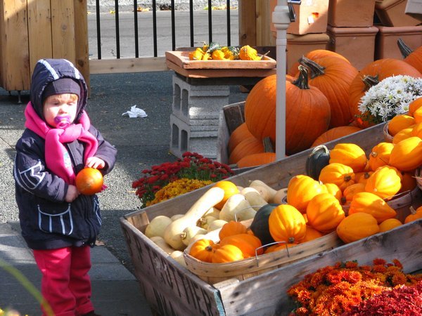 Canadian kid shopping for pumpkin
