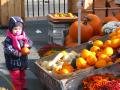 Canadian kid shopping for pumpkin