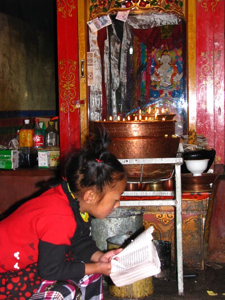 Studying in Tibetan,