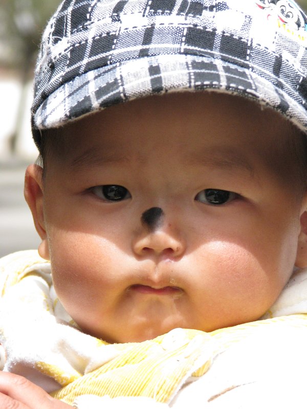 Tibetan Baby