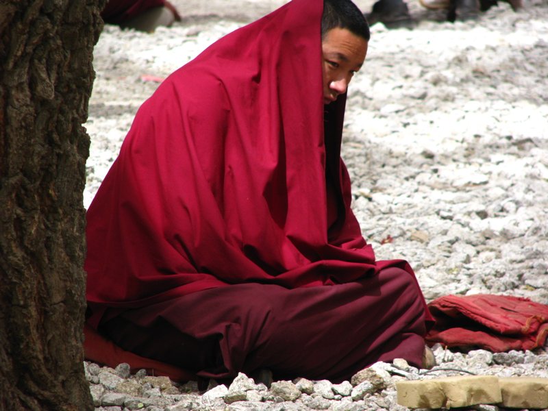 Tibetan Monk Meditating
