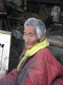 Tibetan Elder