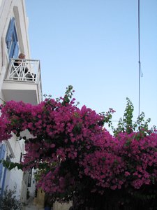 Scene in Ano Syros