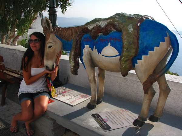 Only non-smelly donkey we saw, Santorini
