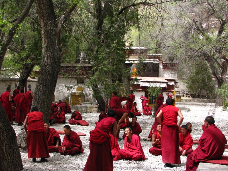 monks debating at sera